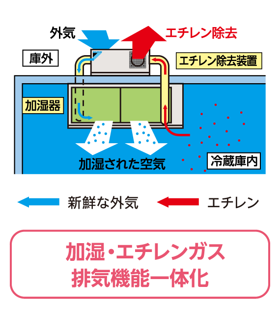 加湿・エチレンガス排気機能一体化