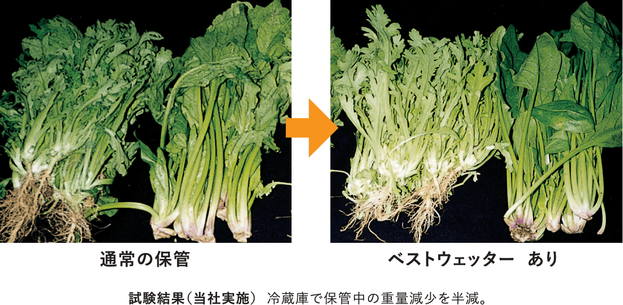 通常の保管 対 ベストウェッター あり。試験結果（当社実施）冷蔵庫で保管中の重量減少を半減。