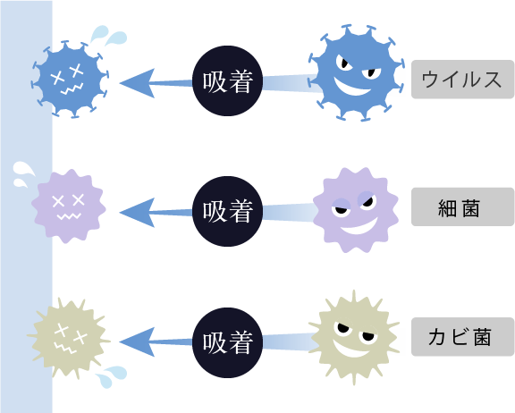 ウィルス・細菌・カビ菌を吸着